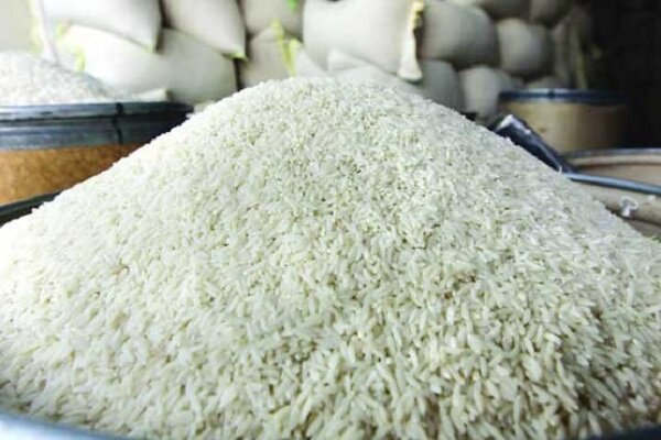 خرید توافقی برنج از شالیکاران در دستور کار قرار دارد