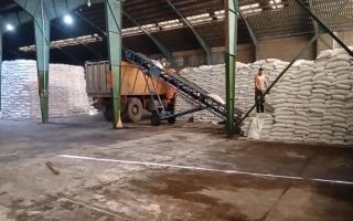 توزیع کودهای شیمیایی در گیلان رکورد شکست!