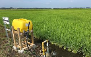 توزیع ۲۵۲۷ تن کود در تالش؛ کشاورزان آماده فصل پرمحصول شدند