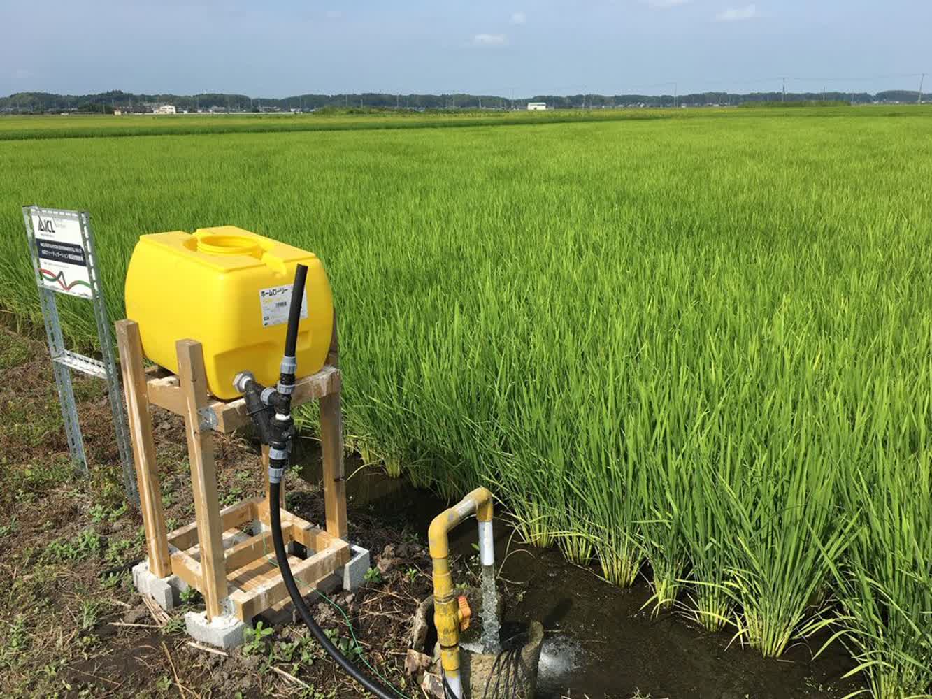 توزیع ۲۵۲۷ تن کود در تالش؛ کشاورزان آماده فصل پرمحصول شدند