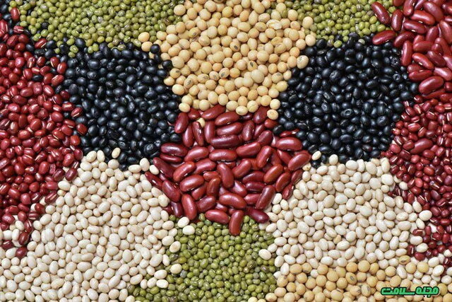 پیشنهاد نایب‌رئیس کمیسیون کشاورزی برای کاهش قیمت حبوبات