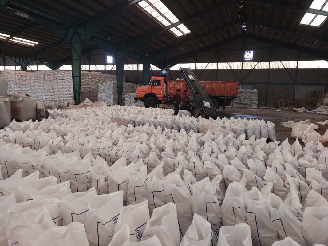 افزایش بهره‌وری کشاورزی با توزیع بیش از ۵ هزار تن کود در شهرستان رشت