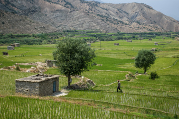 گیلان رتبه نخست بیشترین افزایش دما را در سال زراعی جاری نسبت به بلند مدت کسب کرد