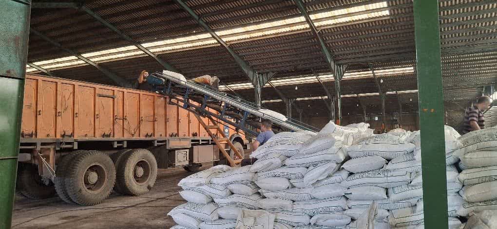 توزیع بیش از 2 هزار و 549 تن کود یارانه ای دولتی در باغات چای گیلان 